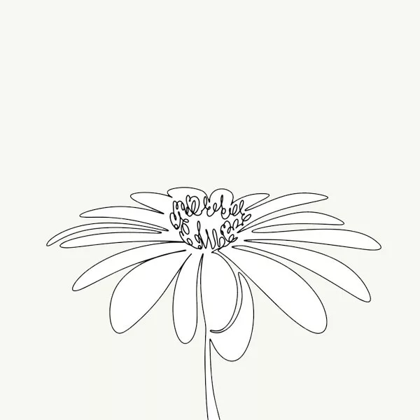 flowers3